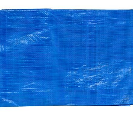 Copertina protettiva con PE 3x3 m blu 50 g/m2 leggera impermeabile