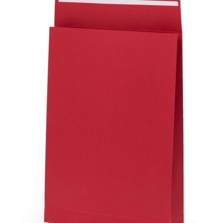 Buste di cartone espanso 320x450x80 mm rosso 220g 10 pz