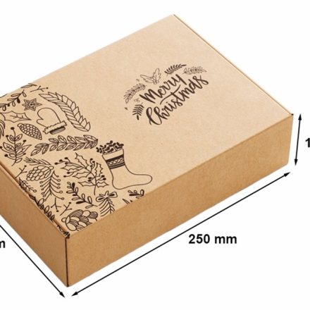 Scatola di Natale in cartone 250x200x100mm Buon Natale Bronzo F427