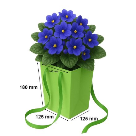 Borsa verde Prestige 125x125x180/165x165 mm per vasi di fiori