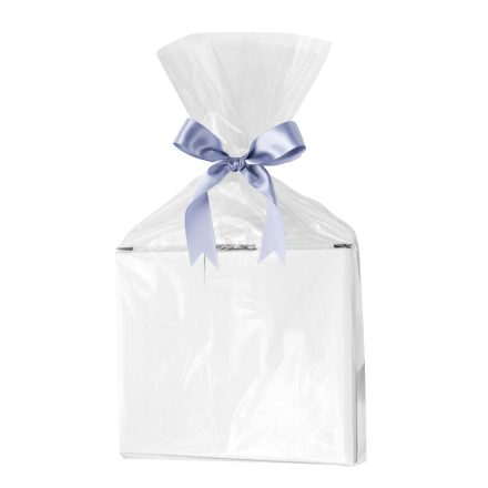 Sacchetti foil OPP 40x60 cm senza flip-flop, trasparente 100 pz
