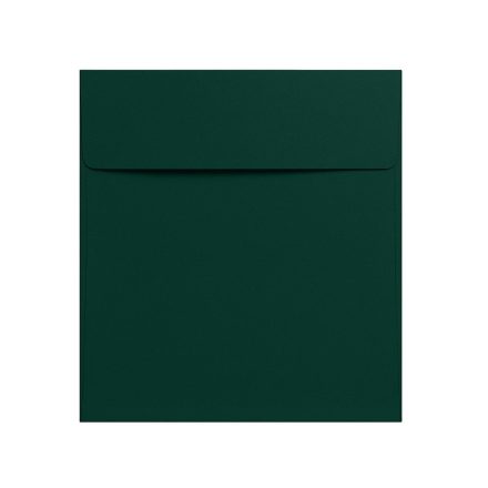K4 buste decorative HK Verde scuro 120g 50 buste organiche