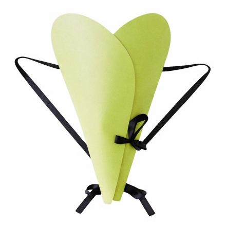 Borsa per mazzi di fiori trasportatore con zaino maniglie - Verde