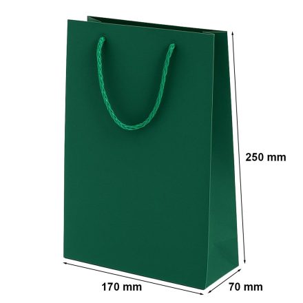 Borsa di presentazione Prestige carta verde 170x70x250 mm con manico