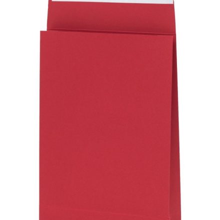 Buste decorative in cartone C4 230x320x60 mm rosso 220 g 10 pz