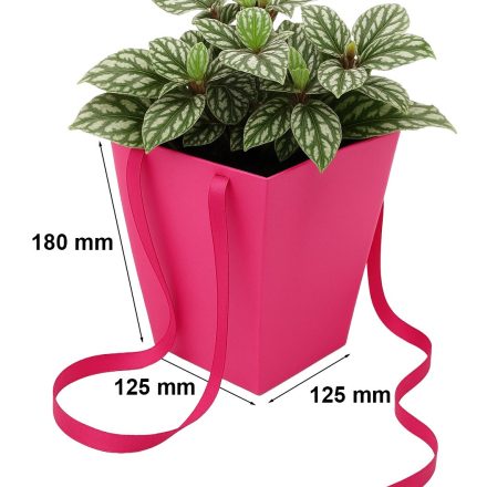 Sacchetto di carta per fiori fucsia 125x125x180/165x165 mm